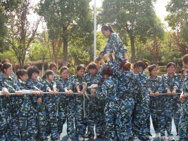 团队同心圆